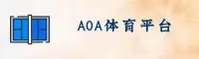 AOA体育官方网站